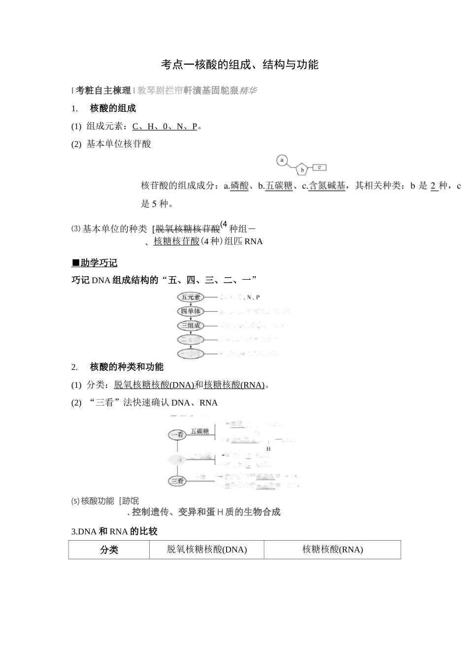最经典总结-核酸的组成和结构、功能_第1页
