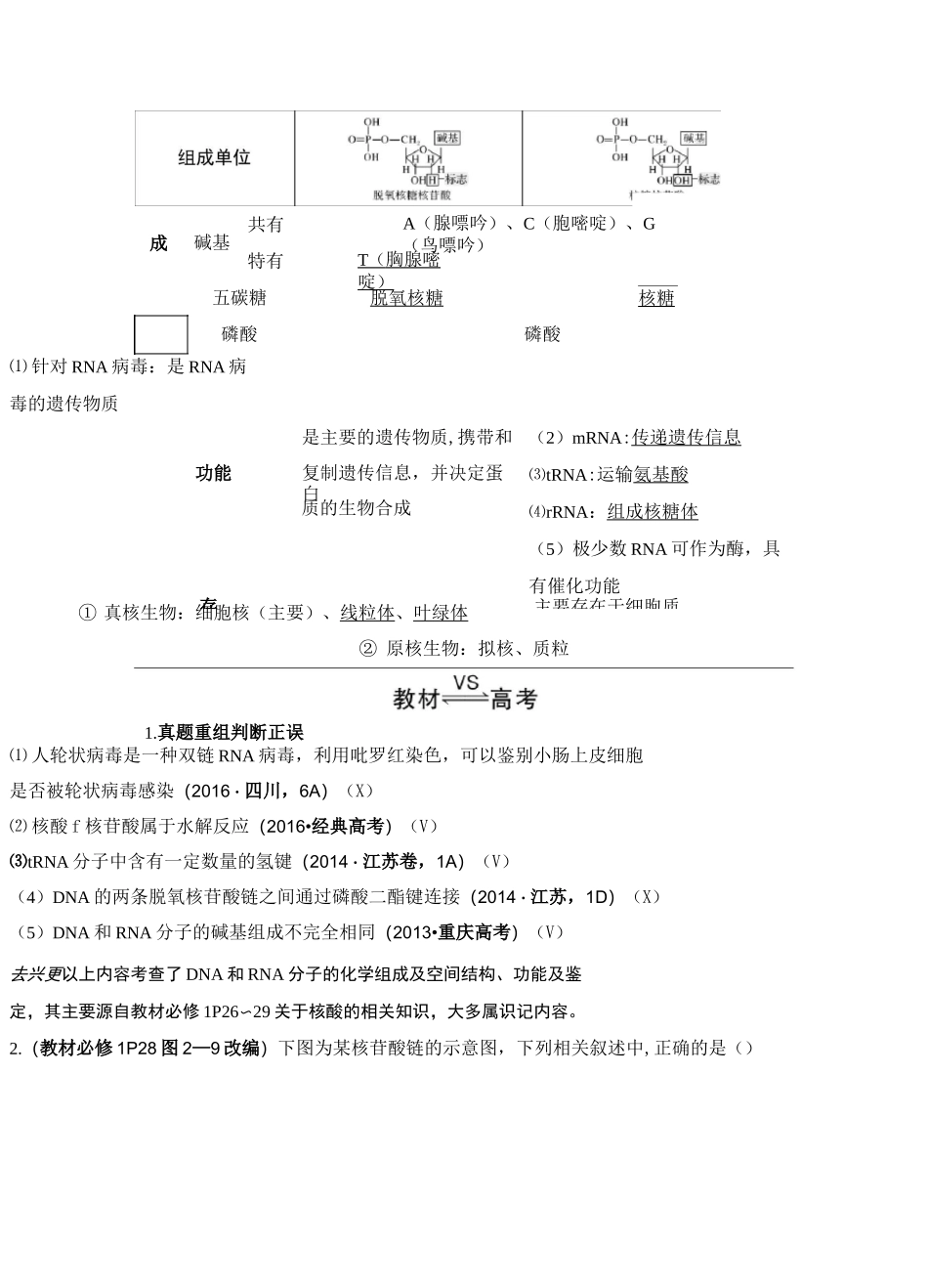 最经典总结-核酸的组成和结构、功能_第2页