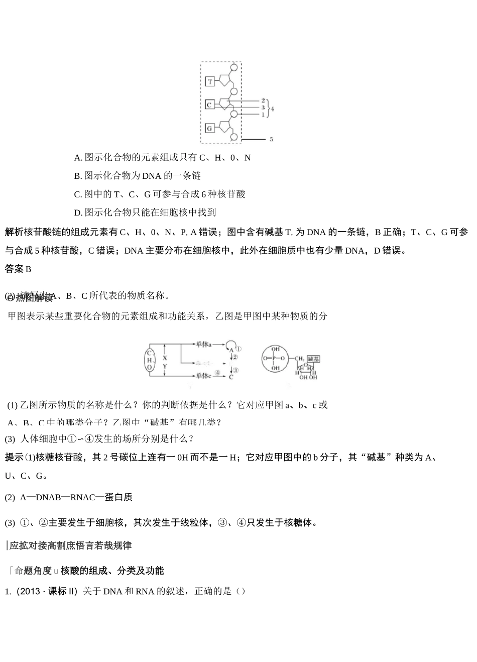最经典总结-核酸的组成和结构、功能_第3页