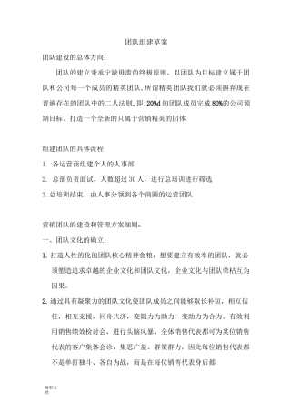 团队组建的方案设计