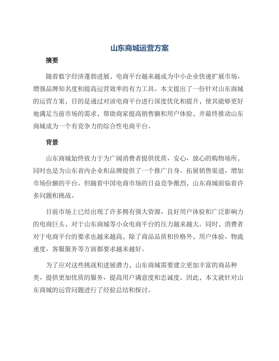 山东商城运营方案_第1页