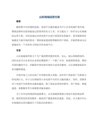 山东商城运营方案