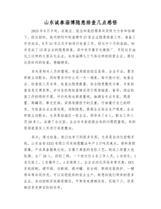 山东诚泰淄博隐患排查几点感想