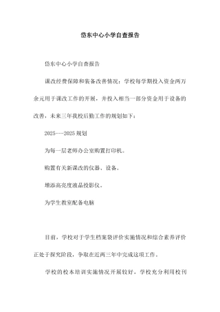 岱东中心小学自查报告