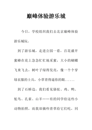 巅峰体验游乐城