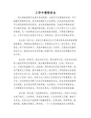 工作中感悟安全