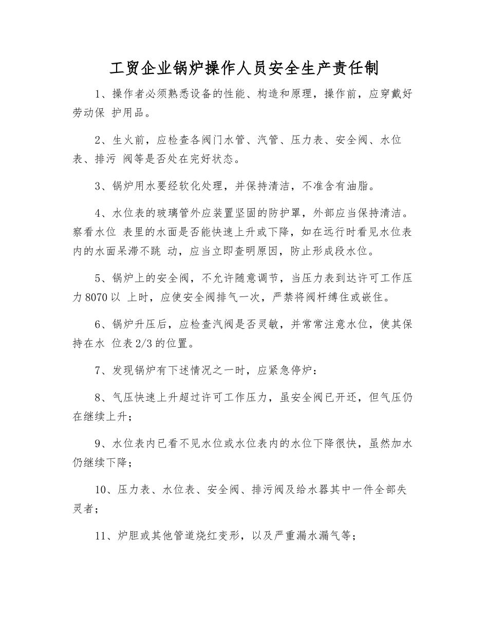 工贸企业锅炉操作人员安全生产责任制_第1页