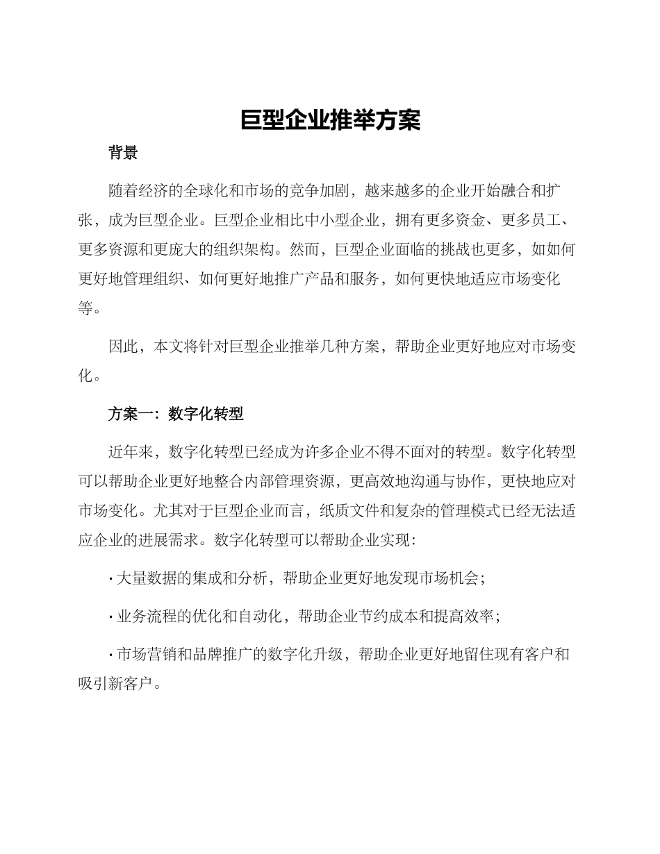 巨型企业推荐方案_第1页