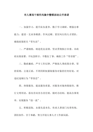 市人事局干部作风集中整顿活动公开承诺