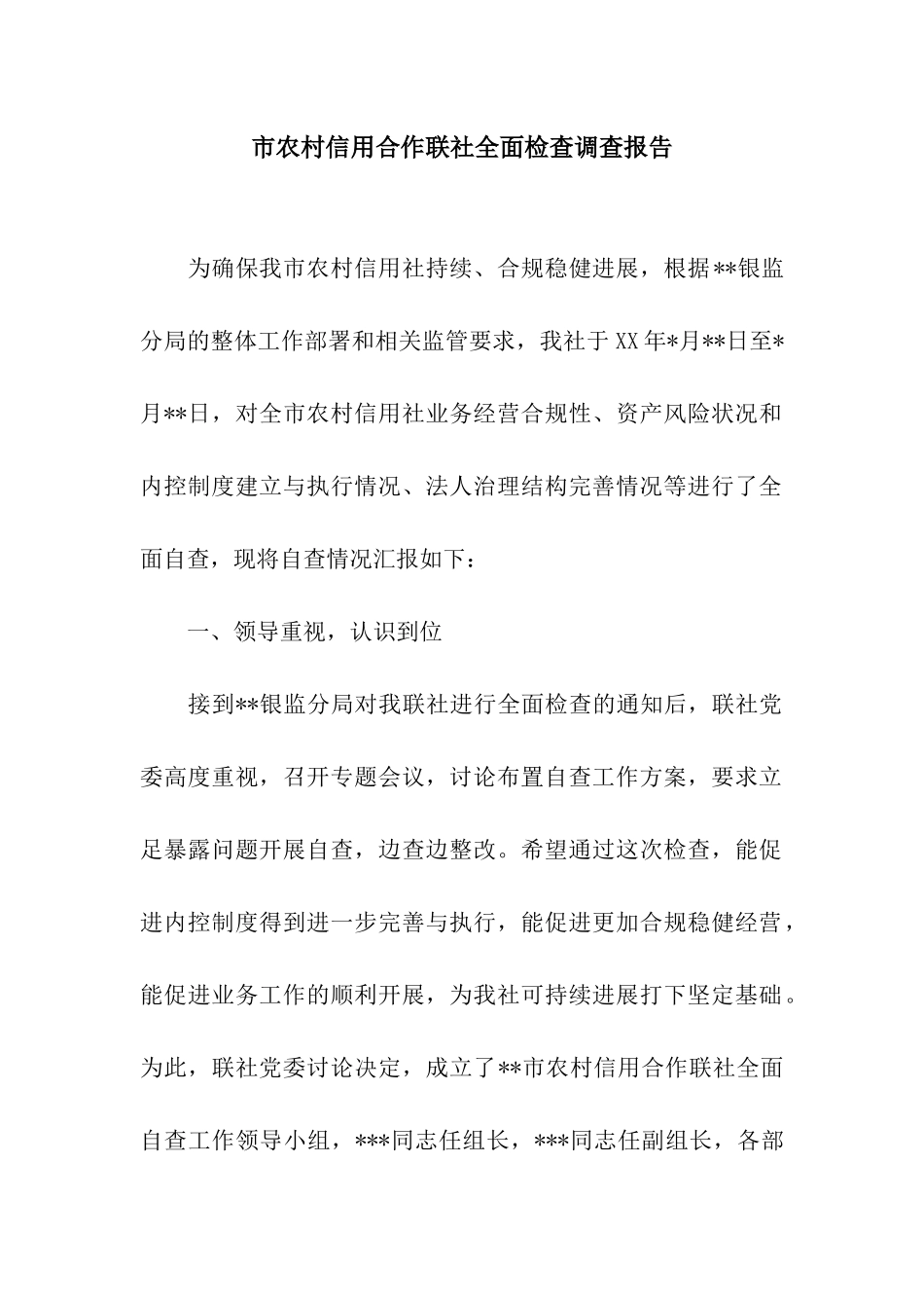 市农村信用合作联社全面检查调查报告_第1页