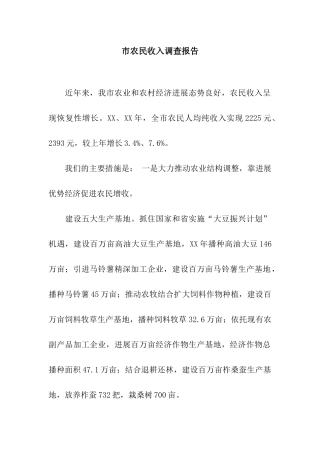 市农民收入调查报告