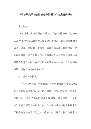 市司法局关于社会治安综合治理工作完成情况报告