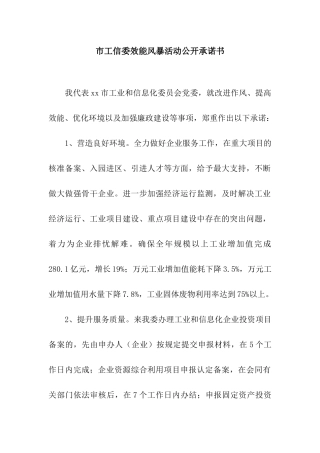 市工信委效能风暴活动公开承诺书