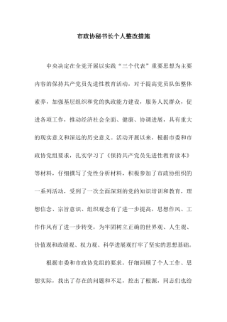 市政协秘书长个人整改措施