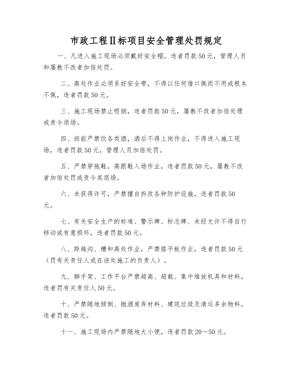 市政工程Ⅱ标项目安全管理处罚规定_第1页