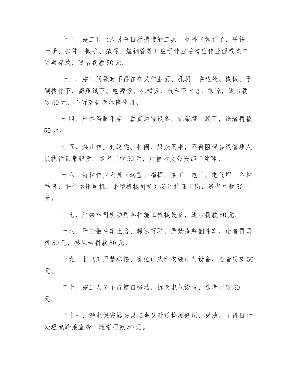 市政工程Ⅱ标项目安全管理处罚规定_第2页