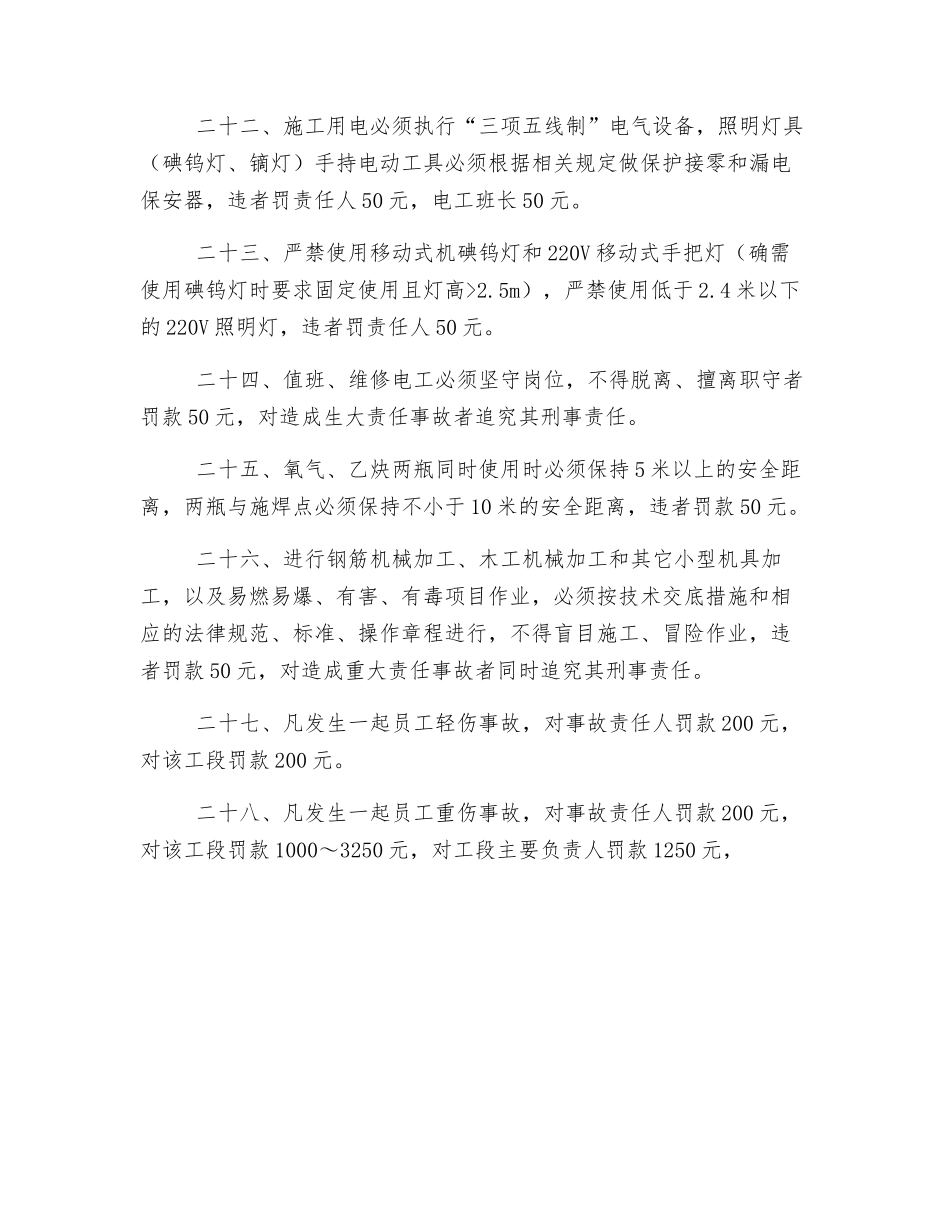 市政工程Ⅱ标项目安全管理处罚规定_第3页