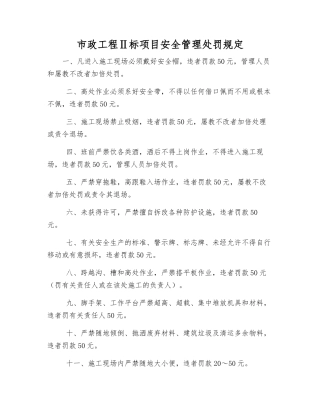 市政工程Ⅱ标项目安全管理处罚规定