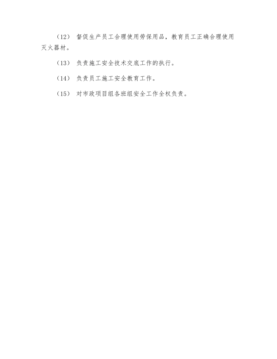 市政项目组安全生产责任_第2页