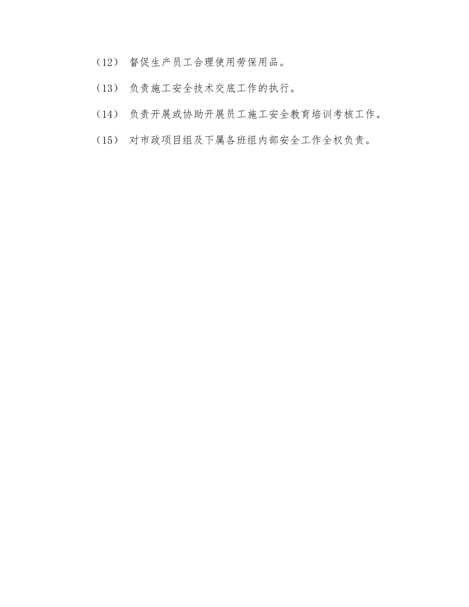 市政项目组项目经理安全生产责任_第2页