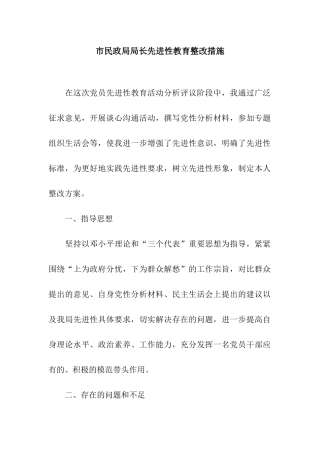 市民政局局长先进性教育整改措施