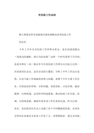市民政工作总结