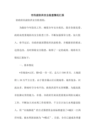 市汛前防洪安全检查情况汇报