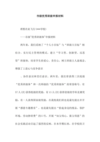 市级优秀班级申报材料