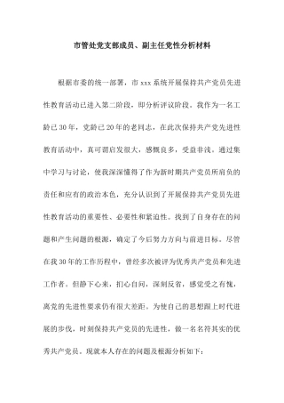 市管处党支部成员、副主任党性分析材料