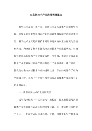 市高新技术产业发展调研报告