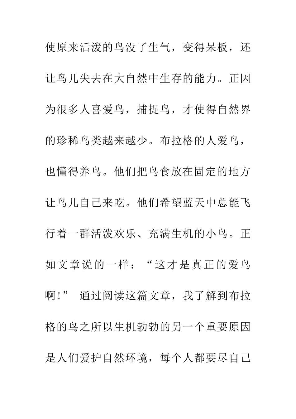 布拉格的鸟读后感500字_第3页