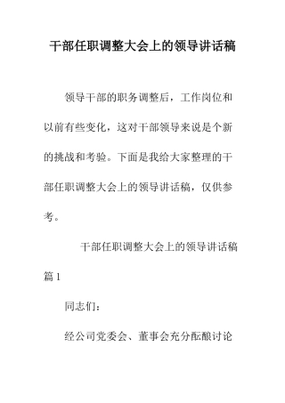 干部任职调整大会上的领导讲话稿--精编范文