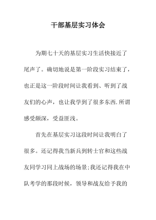 干部基层实习体会--精编范文
