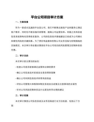 平台公司项目审计方案