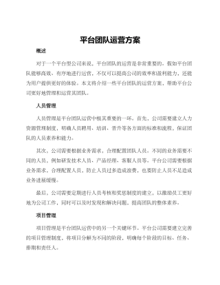 平台团队运营方案