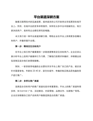 平台渠道深耕方案