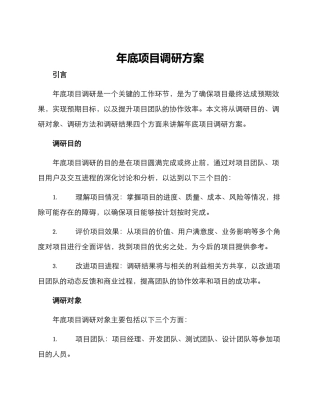 年底项目调研方案