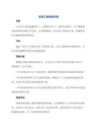 年度工资使用方案