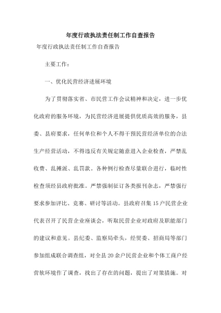 年度行政执法责任制工作自查报告