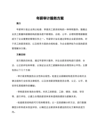 年薪审计服务方案