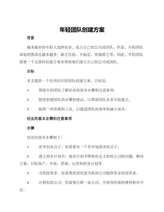 年轻团队创建方案