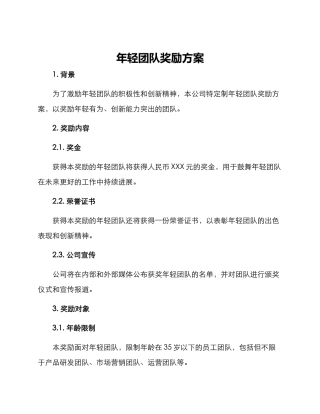 年轻团队奖励方案