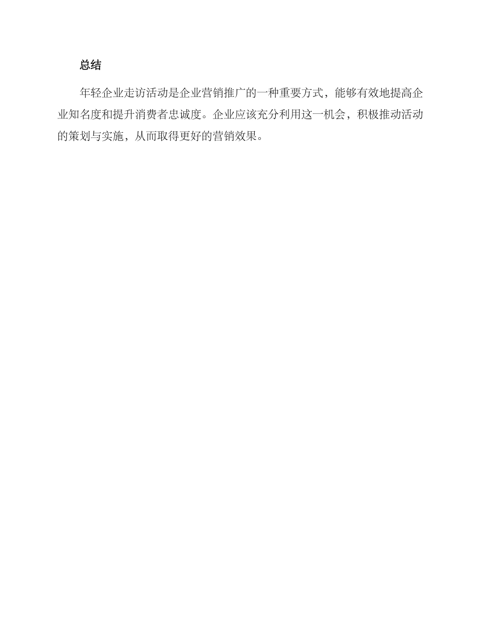 年轻企业走访活动方案_第3页