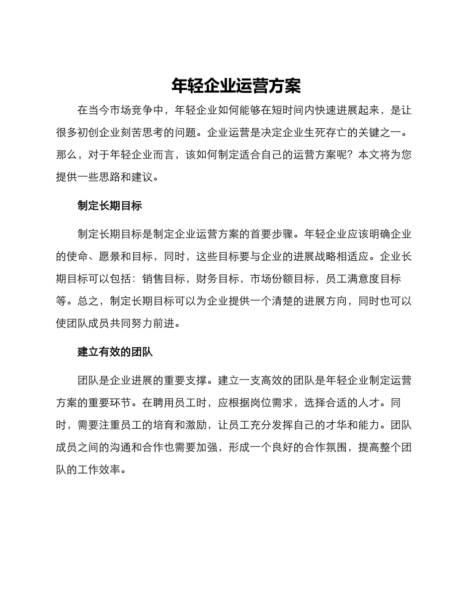 年轻企业运营方案_第1页