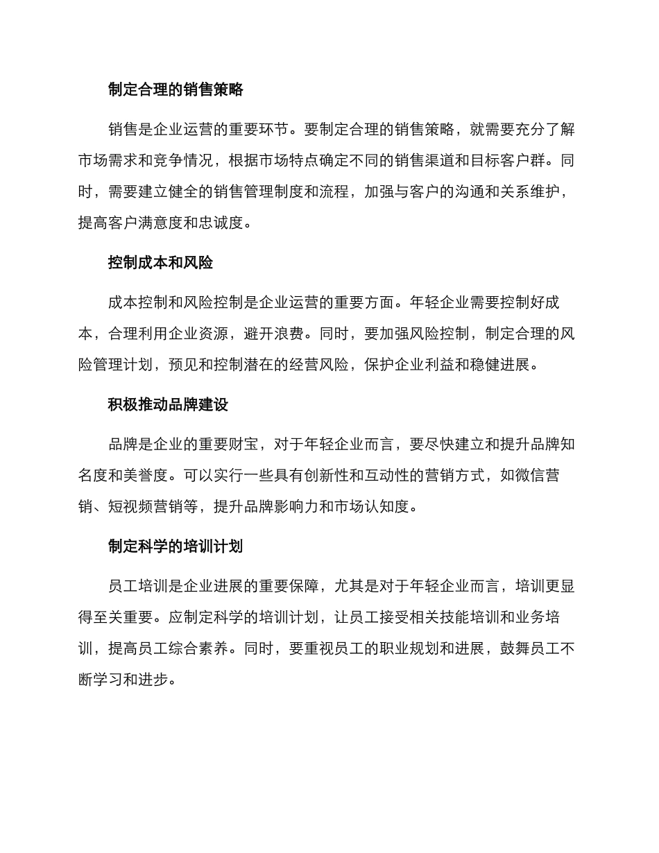 年轻企业运营方案_第2页