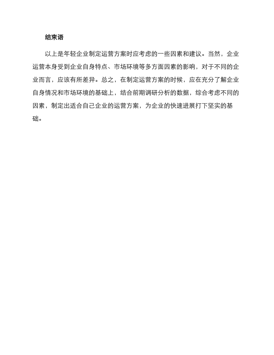 年轻企业运营方案_第3页