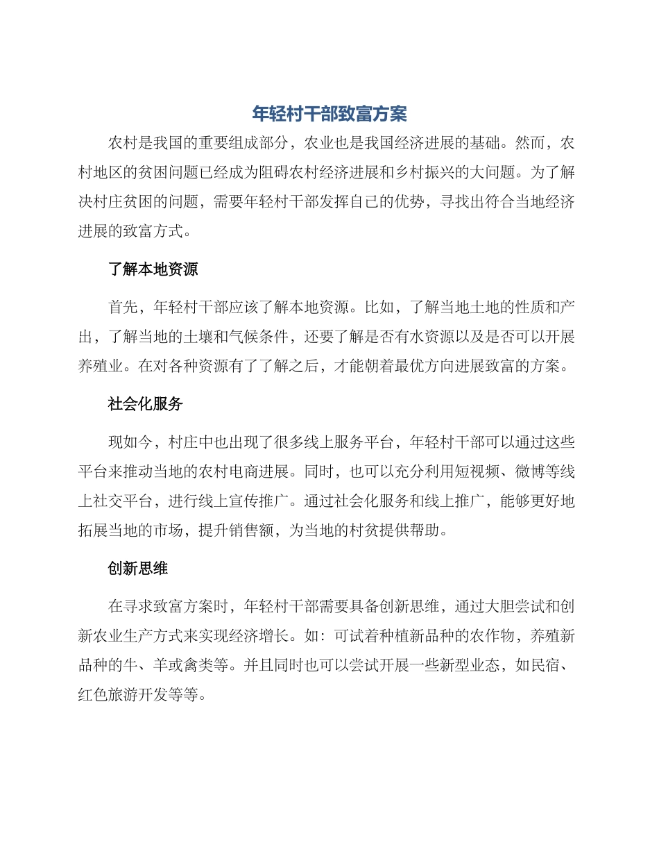 年轻村干部致富方案_第1页