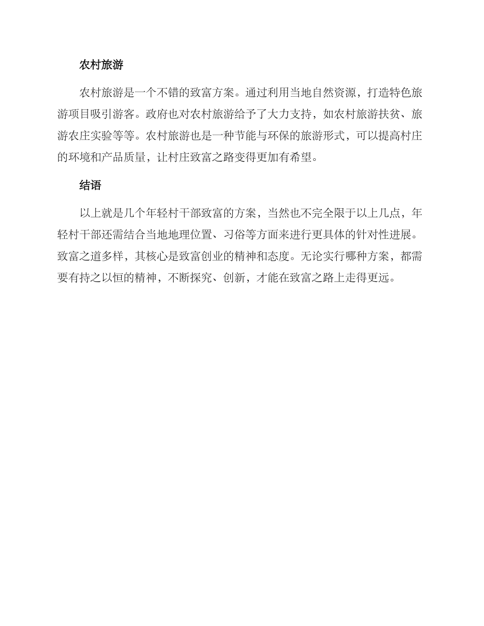 年轻村干部致富方案_第2页