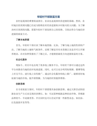 年轻村干部致富方案