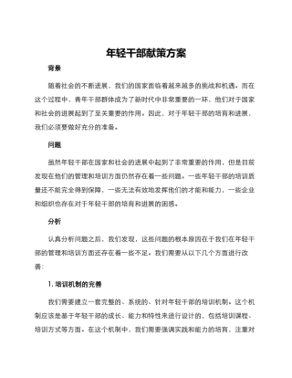 年轻干部献策方案